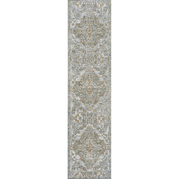 Shaemus Bohemian Medallion Low-Pile Machine-Washable Area Rug